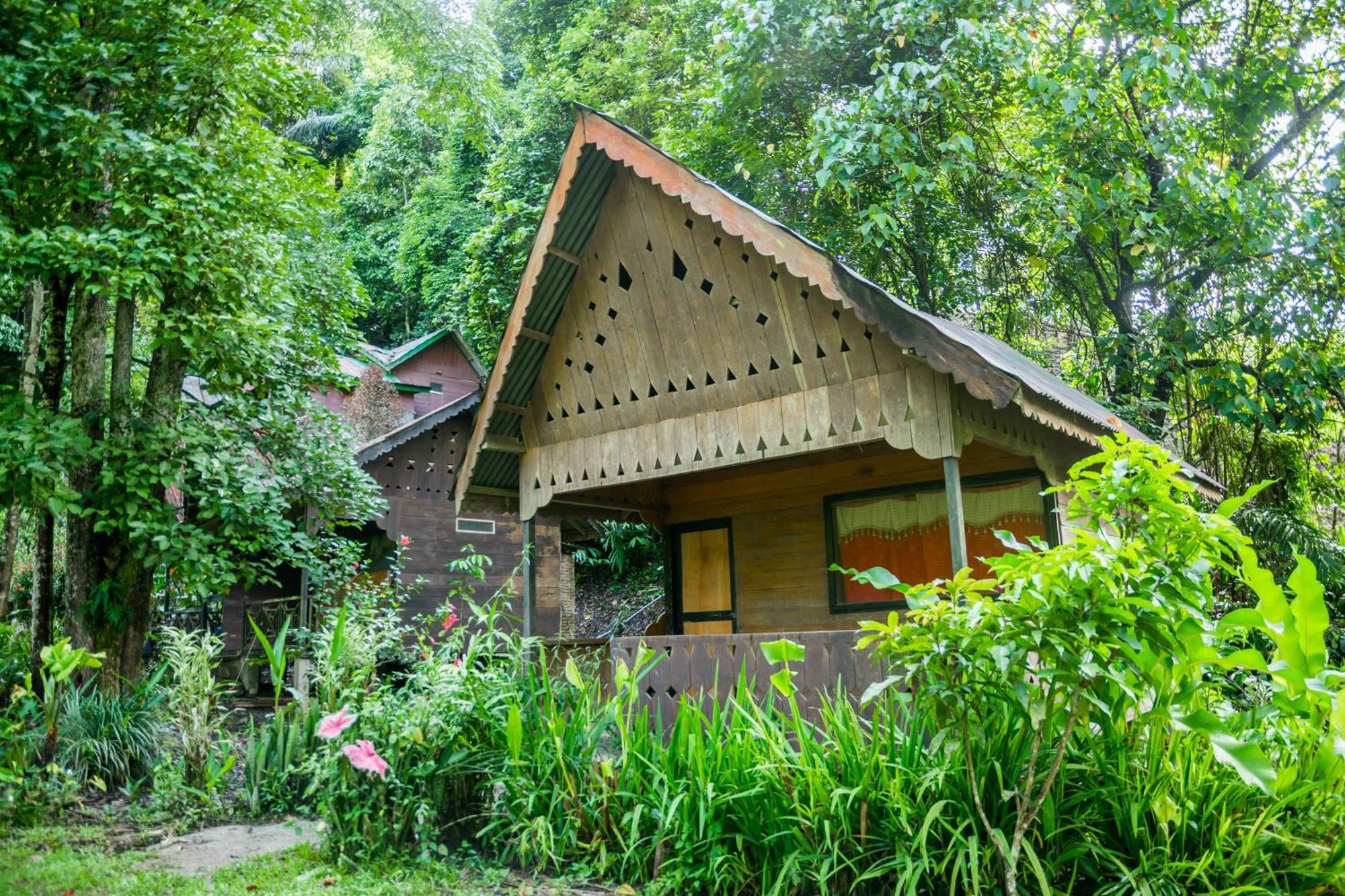 Pak Mus Guest House Ketambe - 0813-7072-1793 Kutacane Экстерьер фото