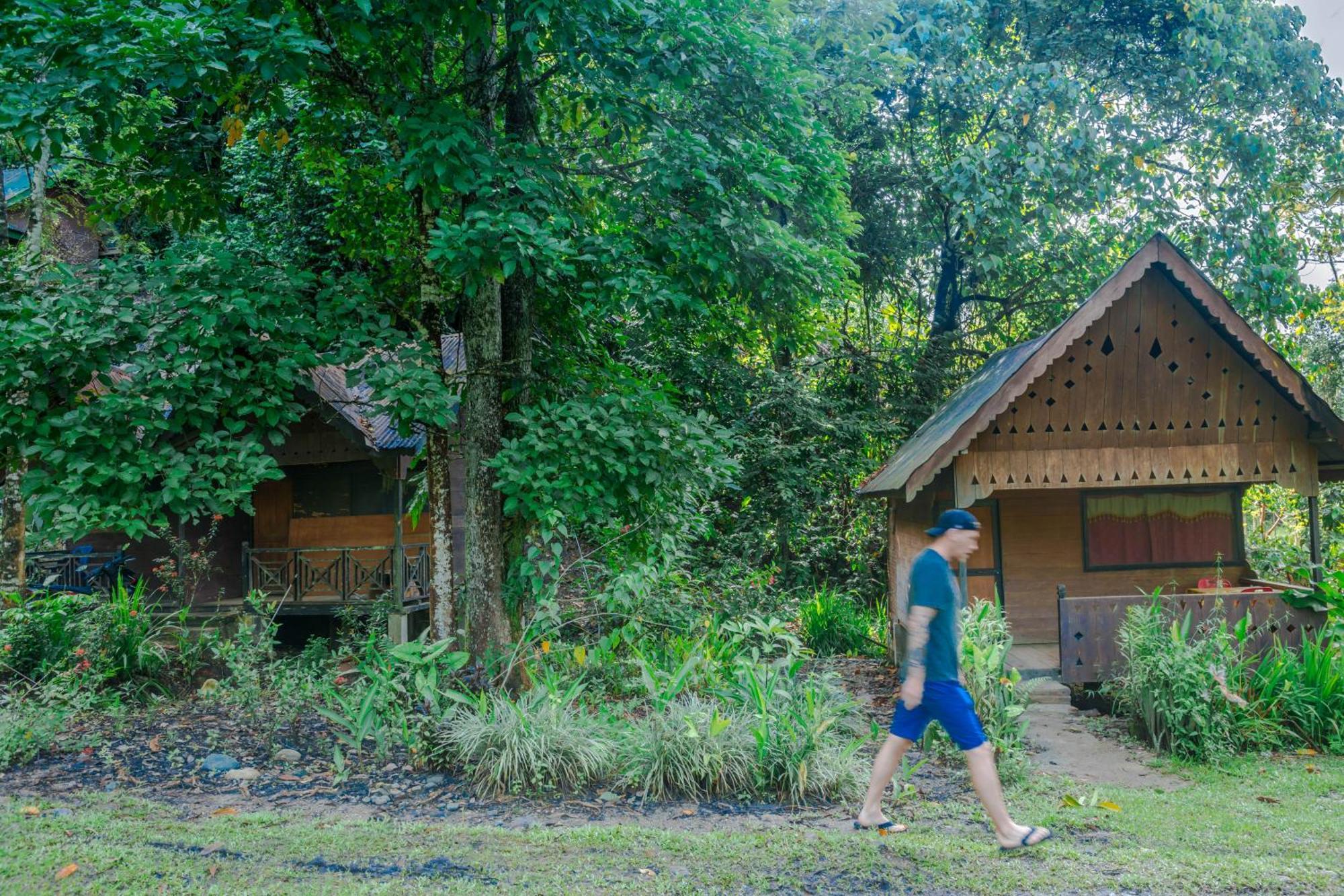 Pak Mus Guest House Ketambe - 0813-7072-1793 Kutacane Экстерьер фото