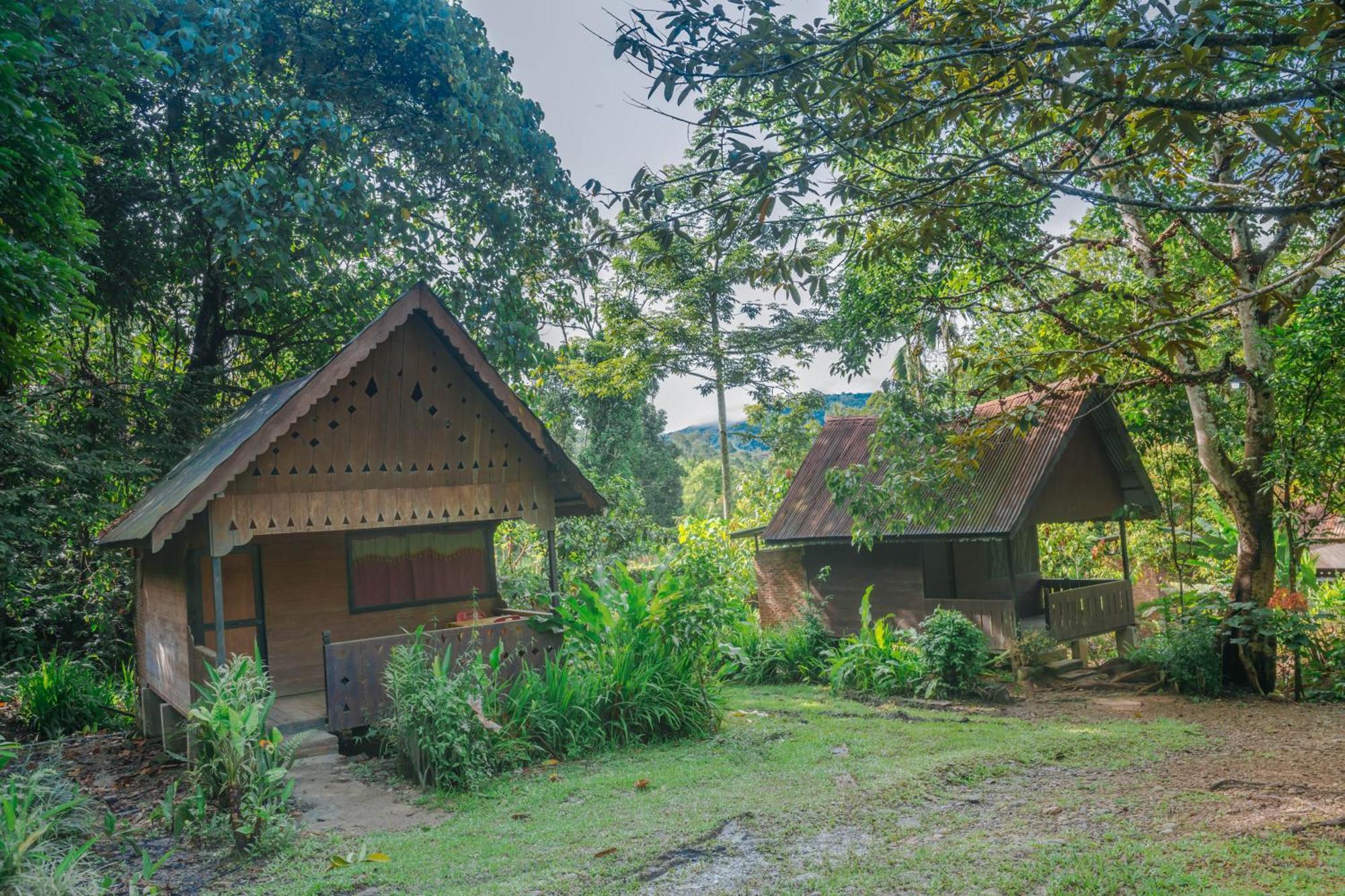 Pak Mus Guest House Ketambe - 0813-7072-1793 Kutacane Экстерьер фото