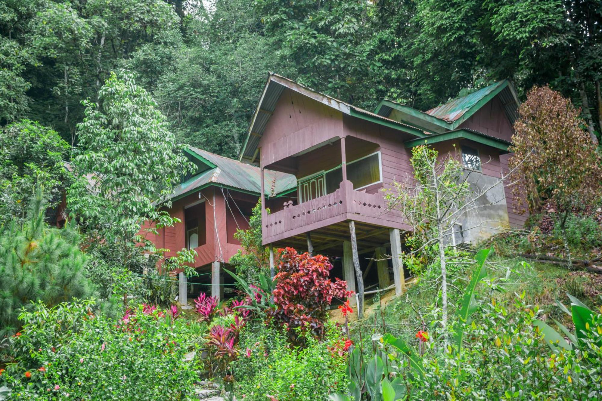 Pak Mus Guest House Ketambe - 0813-7072-1793 Kutacane Экстерьер фото